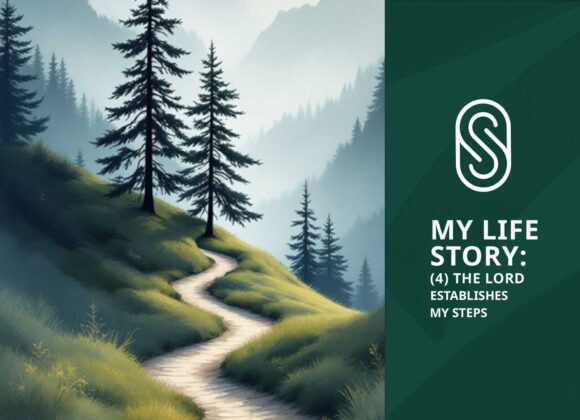 Storyworth: (4) The Lord Establishes My Steps